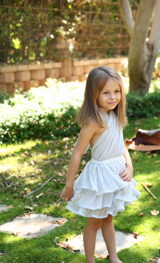 “The Silver Shimmery Flowy Dress”