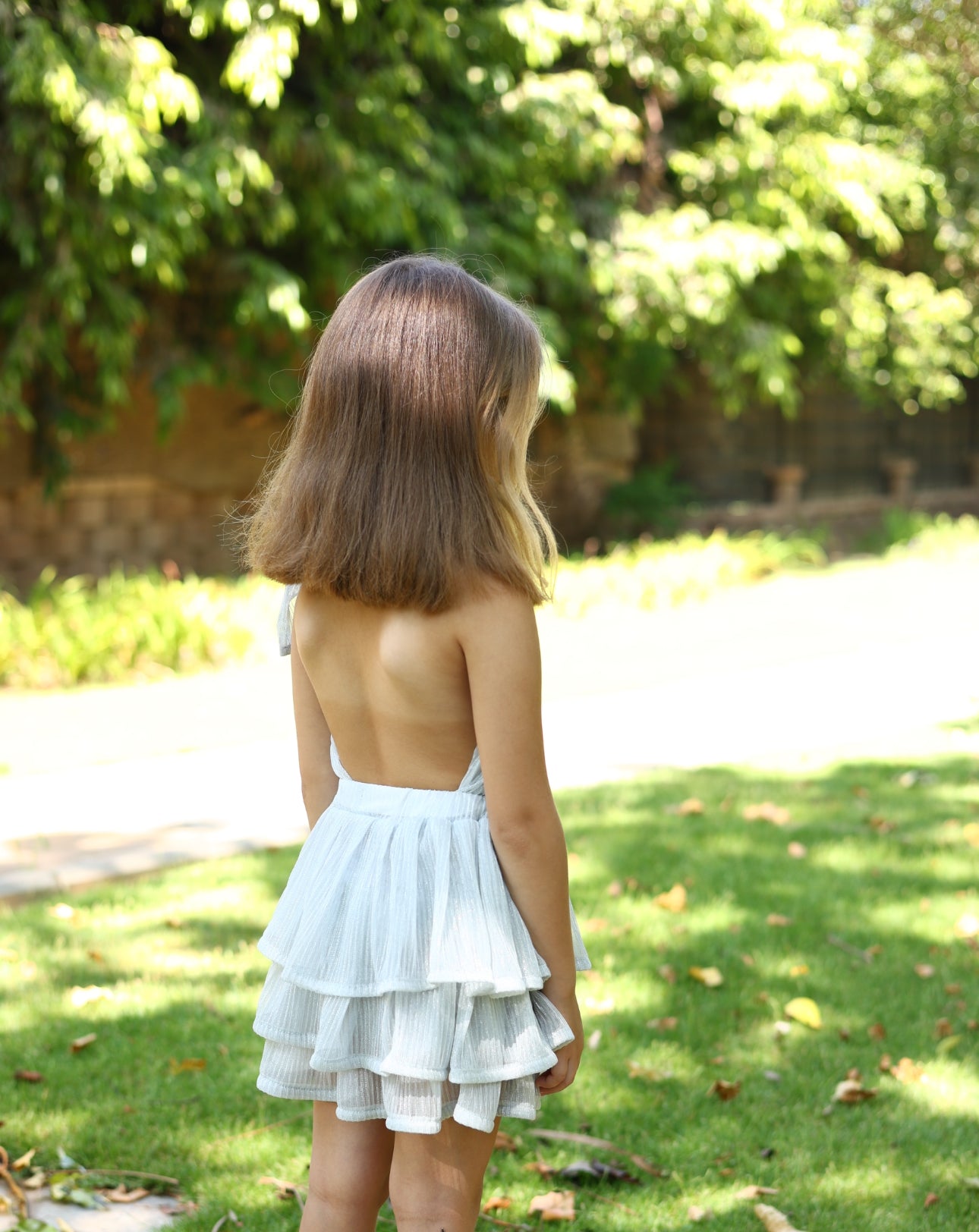 “The Silver Shimmery Flowy Dress”